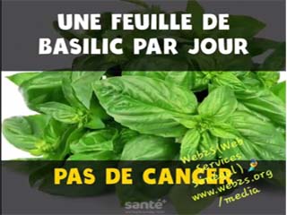 Aliments & Santé.mp4