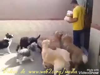 De la morale de troupeau