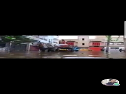 Inondations 2020_La Vénise Africaine